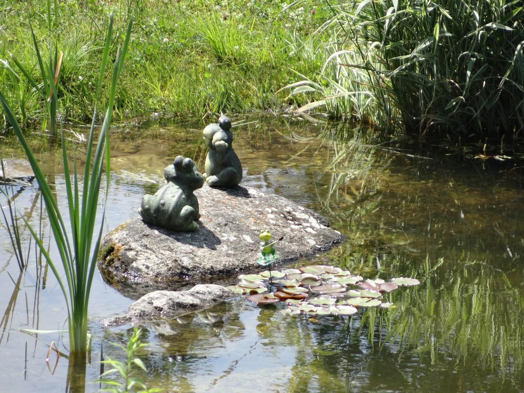 Stanglehen Mittersill